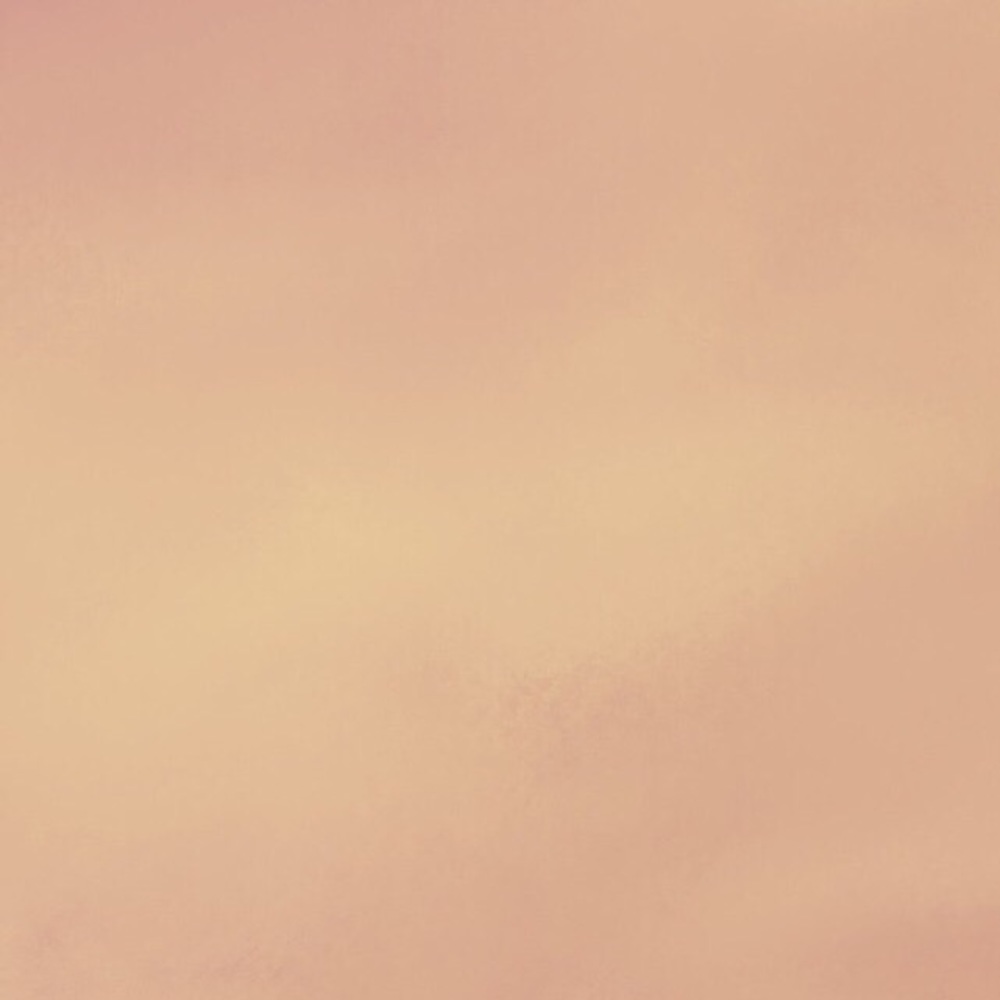 sorry for the interruption